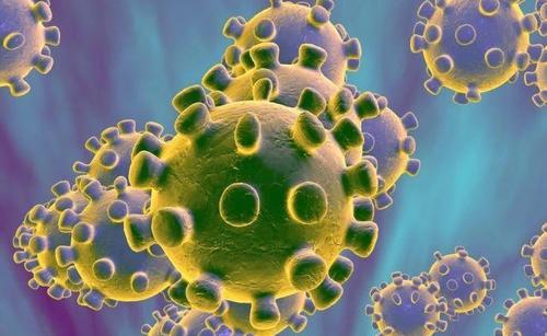 关于新型冠状病毒肺炎，你应该知道的100条科学信息